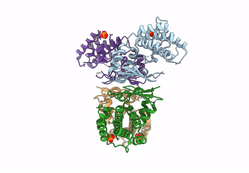 9DBI image