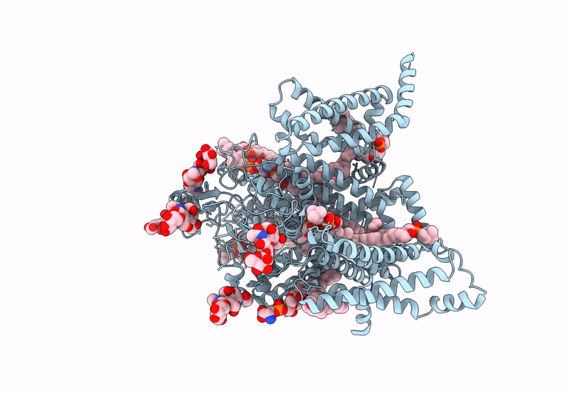 9DBM image