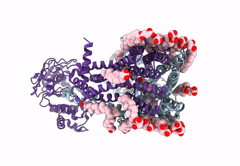 9DBQ image