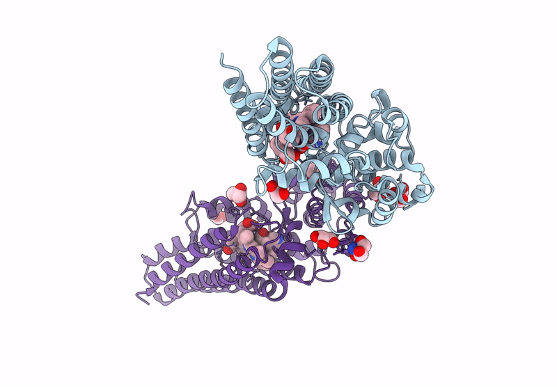 9DFI image