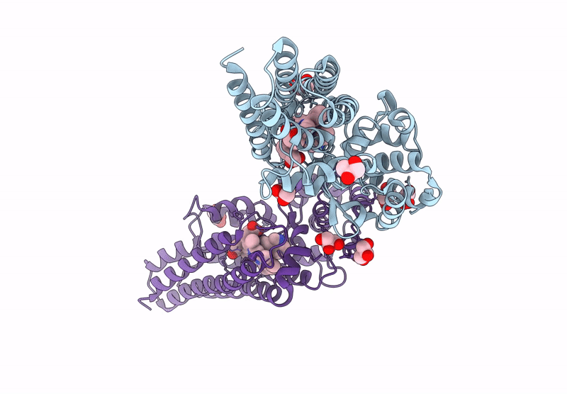 9DFM image