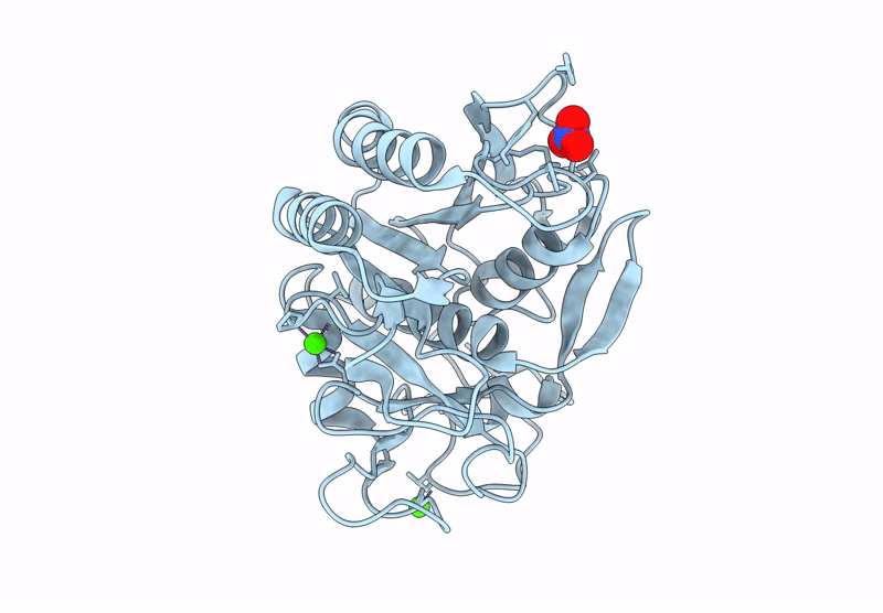 9DHO image