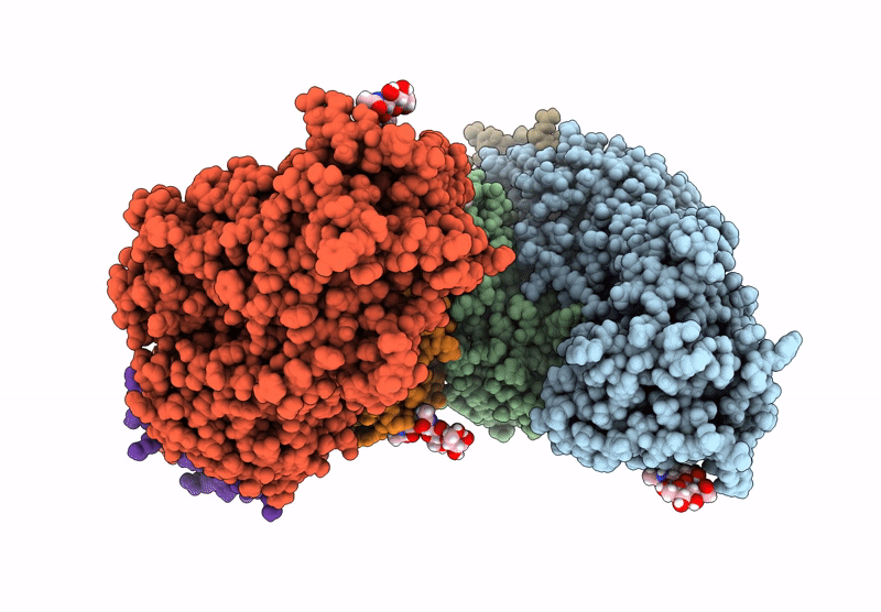 9DIX image