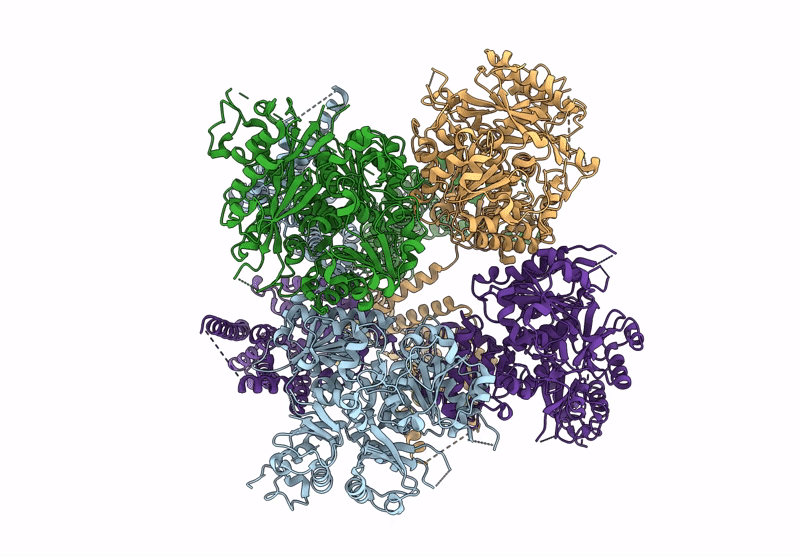 9DJV image