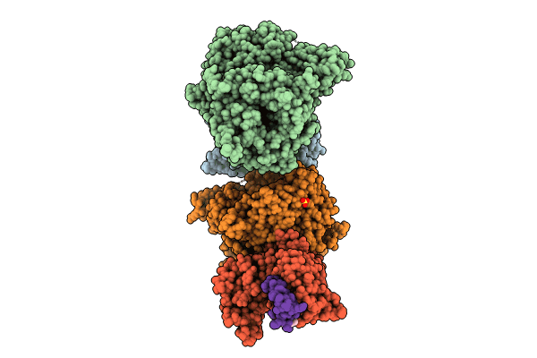 9DJX image