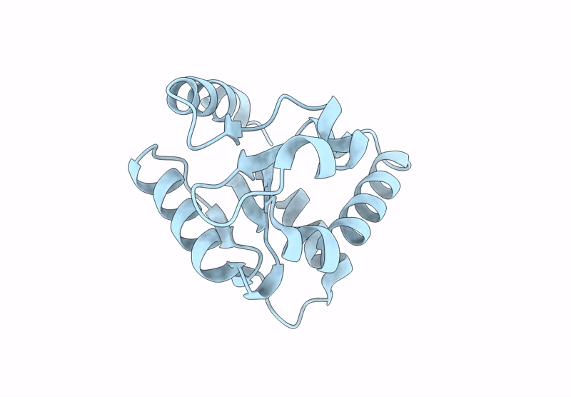 9DKI image