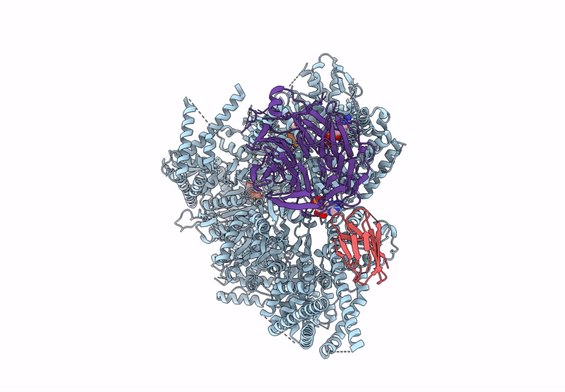 9DKM image