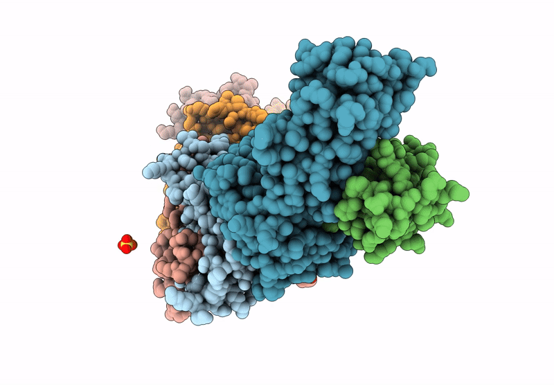 9DL1 image