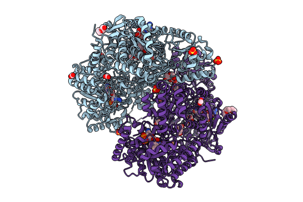 9DL2 image