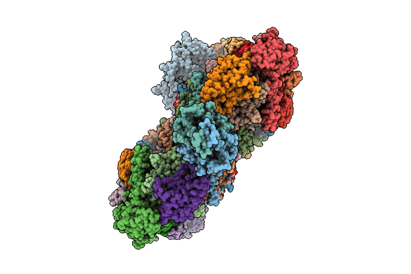 9DM1 image