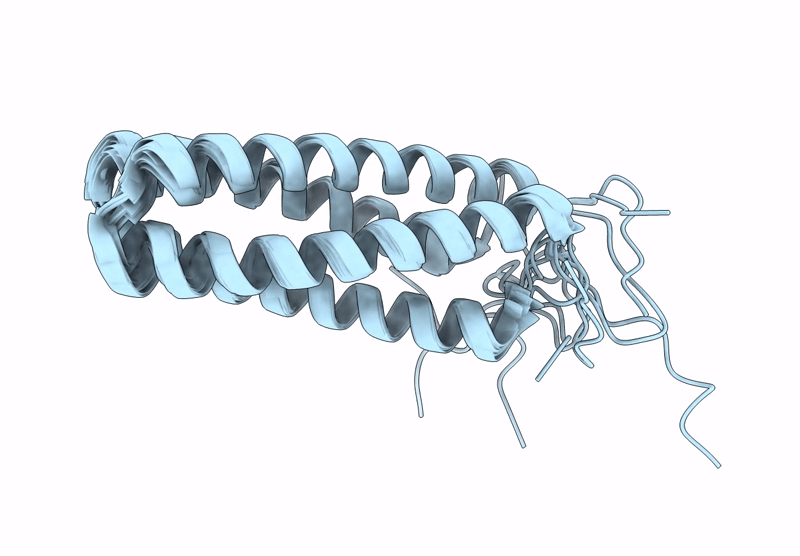 9DM3 image