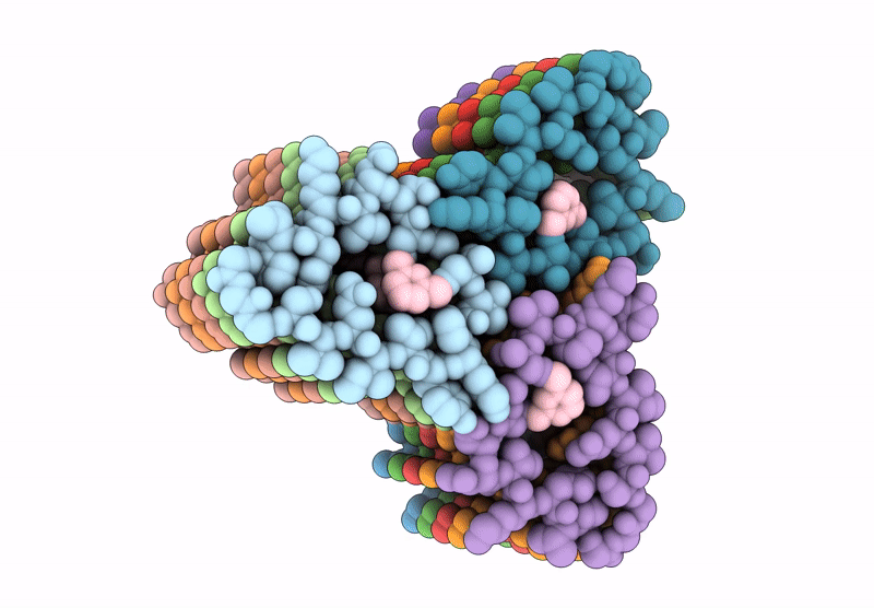 9DME image