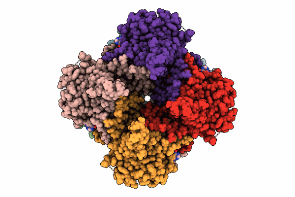 9DMU image