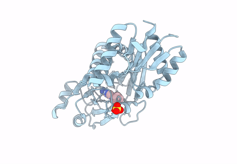 9DN3 image