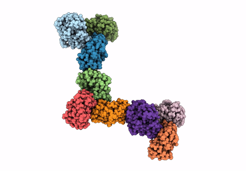 9DNE image