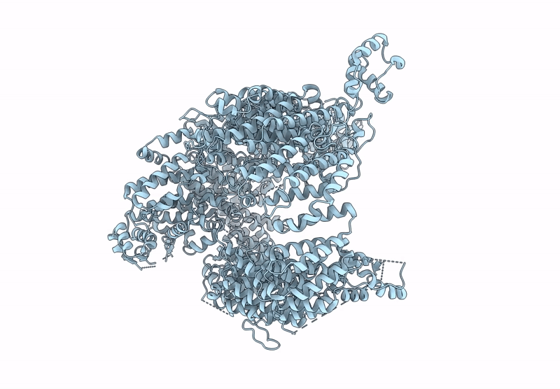 9DNT image