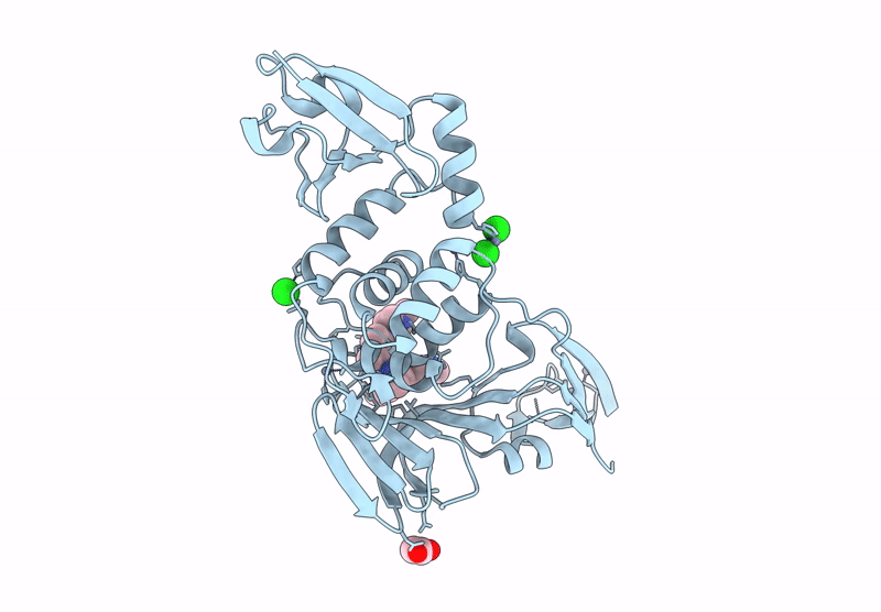 9DNV image
