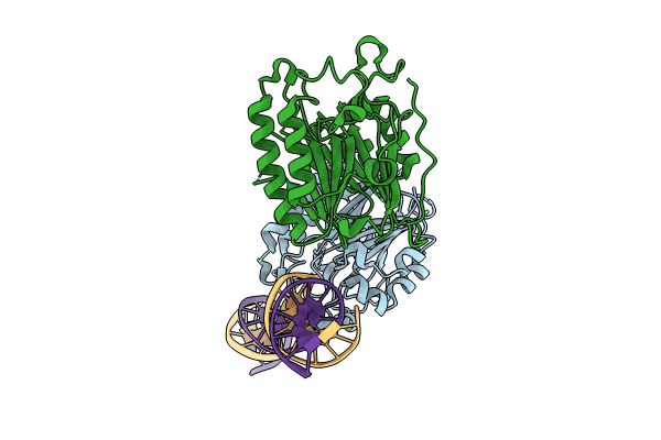 9DP1 image