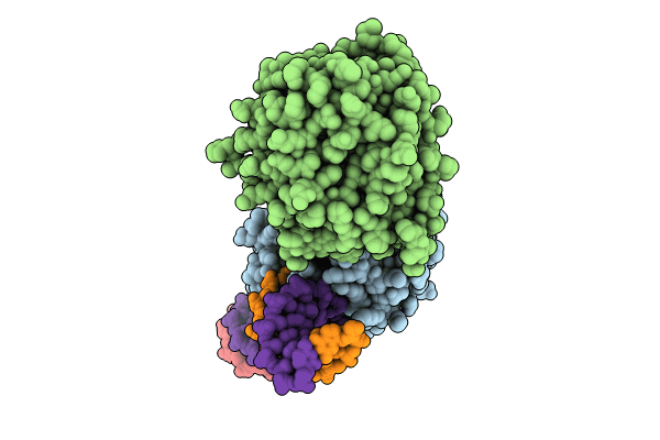 9DP2 image