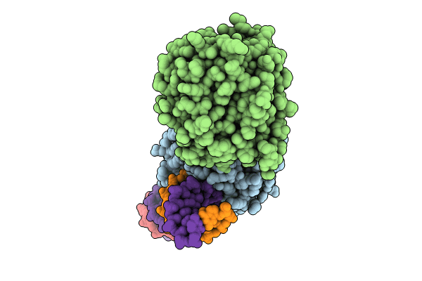 9DP3 image