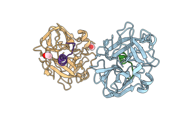 9DPF image