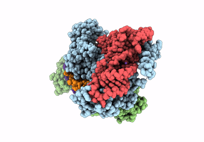 9DPL image