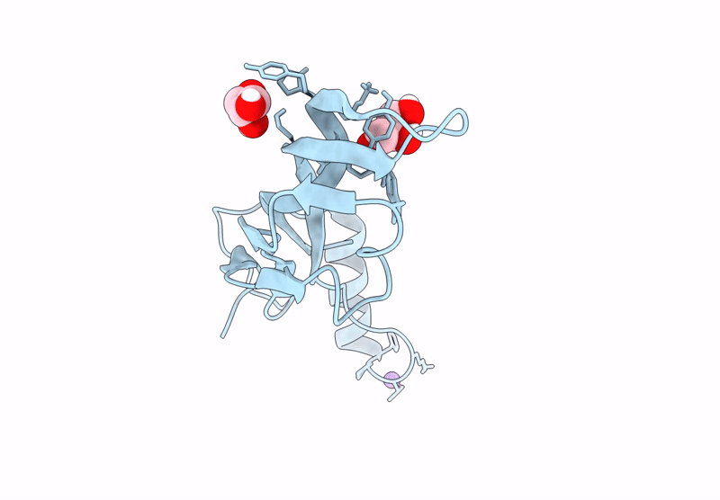9DPU image
