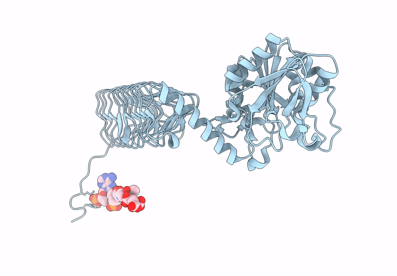 9DQF image