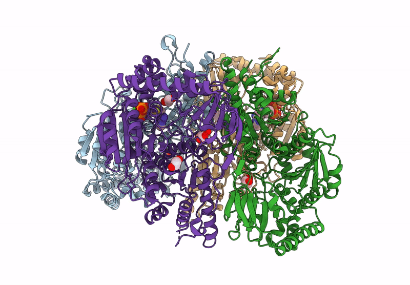 9DQI image