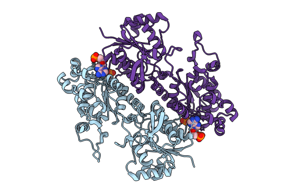 9DQM image