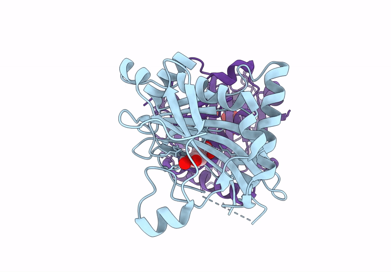 9DQR image