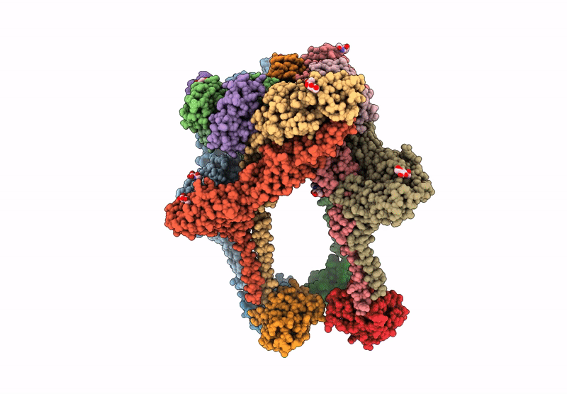 9DQV image