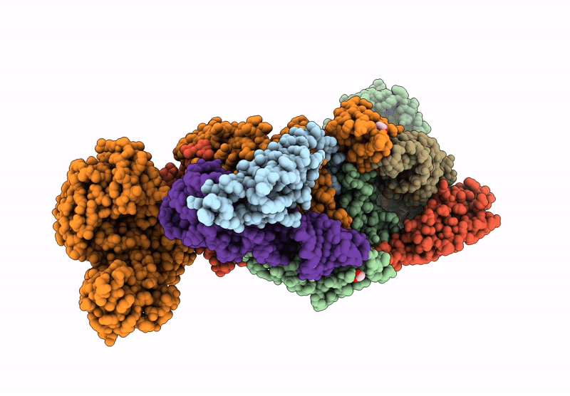 9DRS image