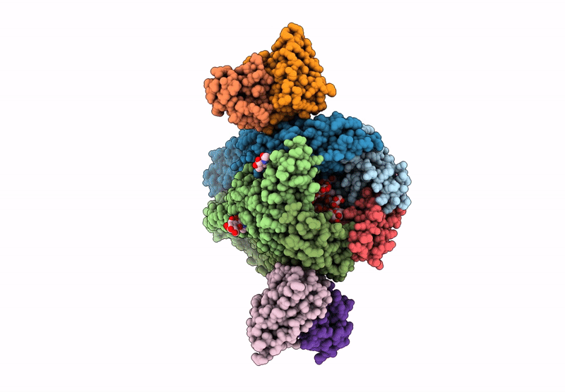 9DRX image