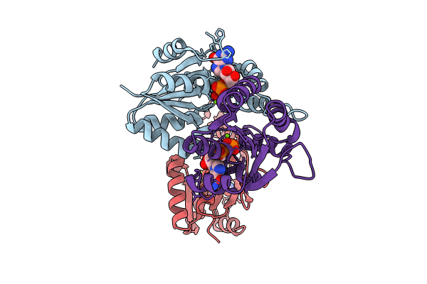9DRZ image