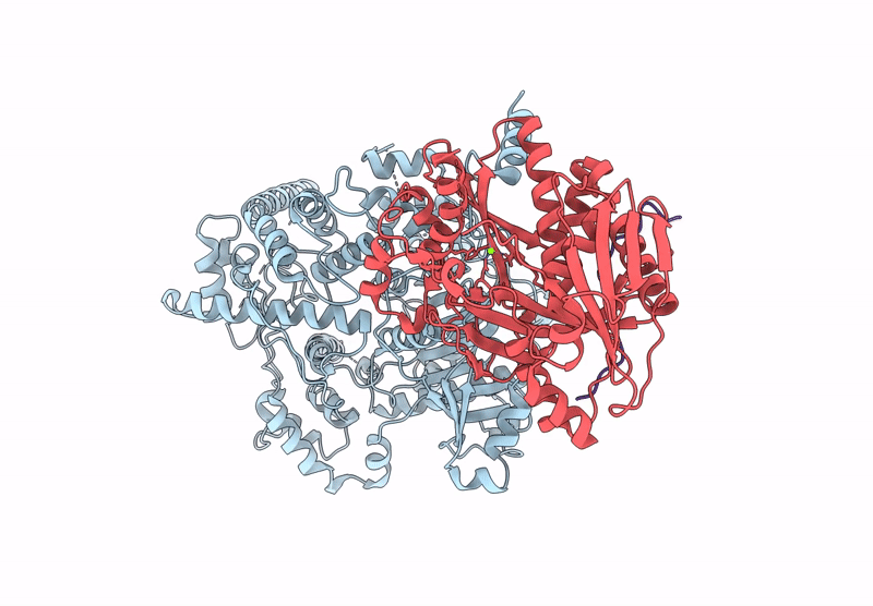 9DSO image