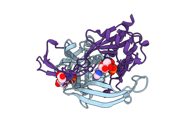 9DT8 image