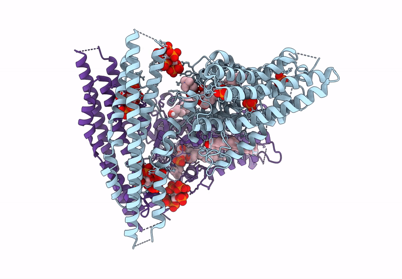 9DVN image