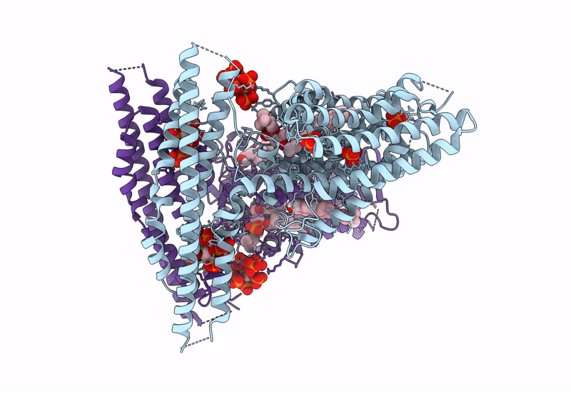9DVO image