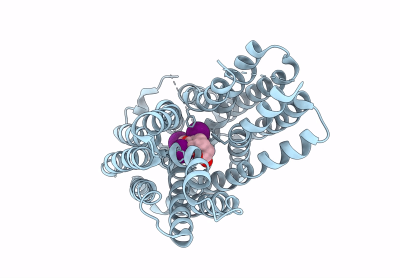 9DWY image