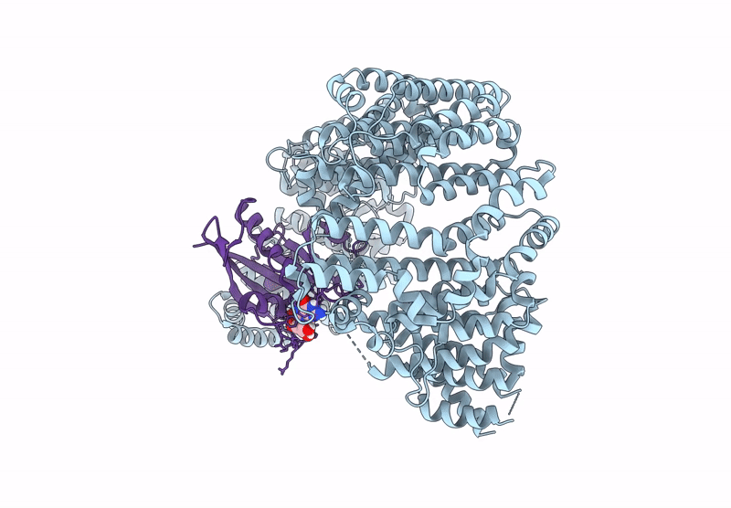 9DXM image