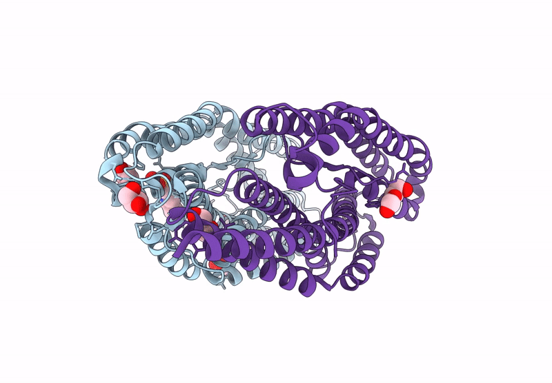 9DZC image