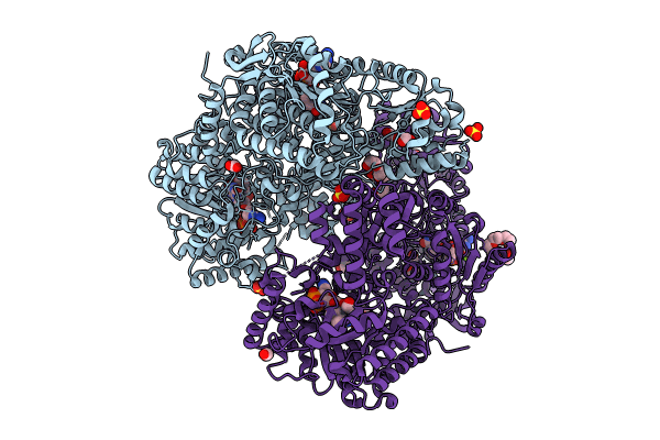 9E0B image