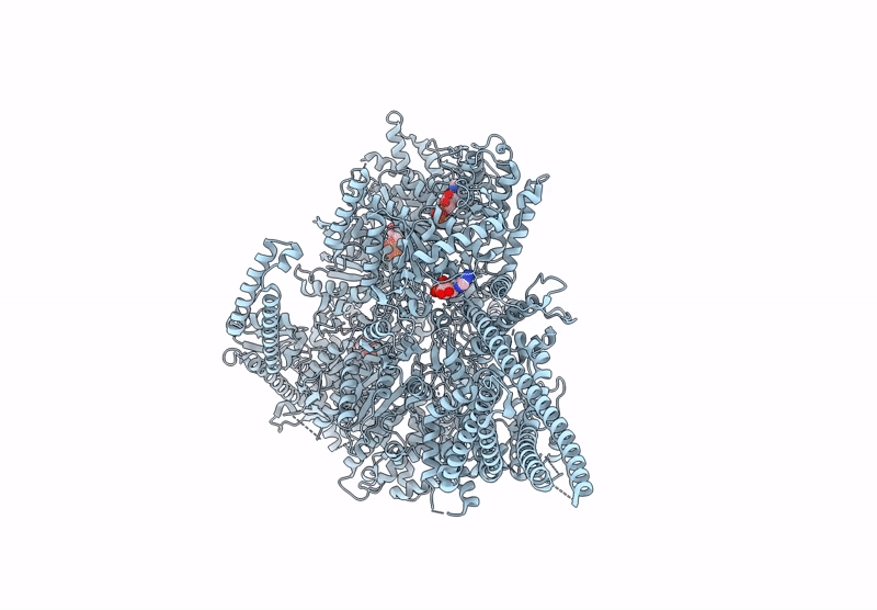 9E0U image