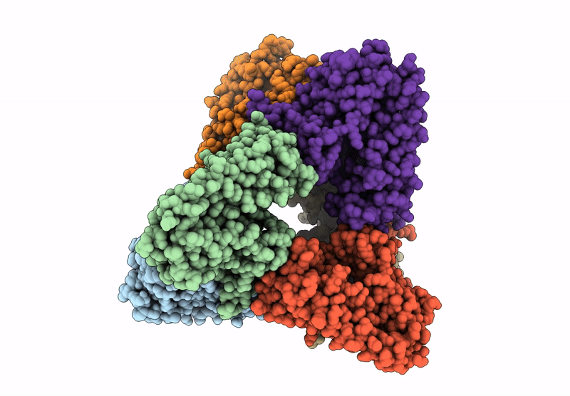 9E2H image