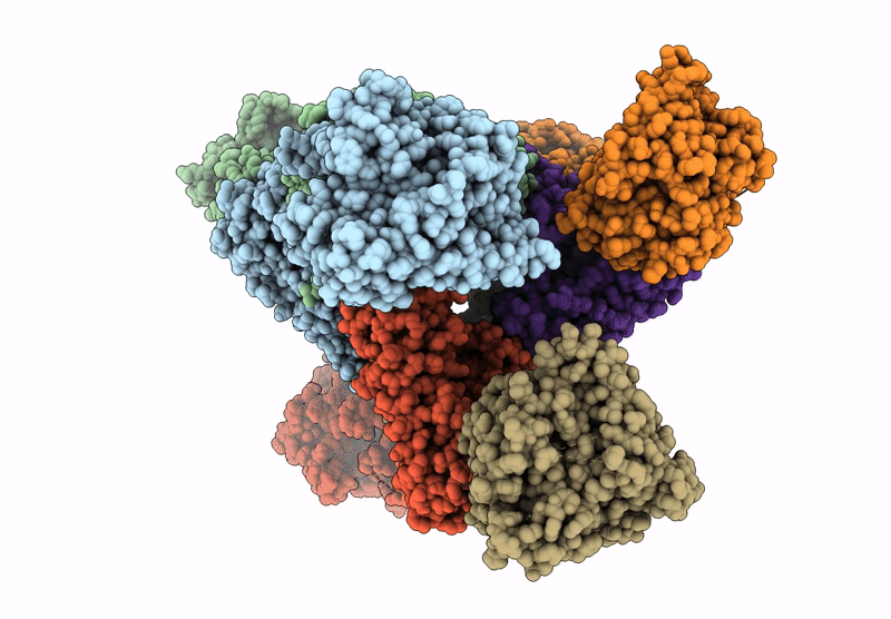 9E2J image