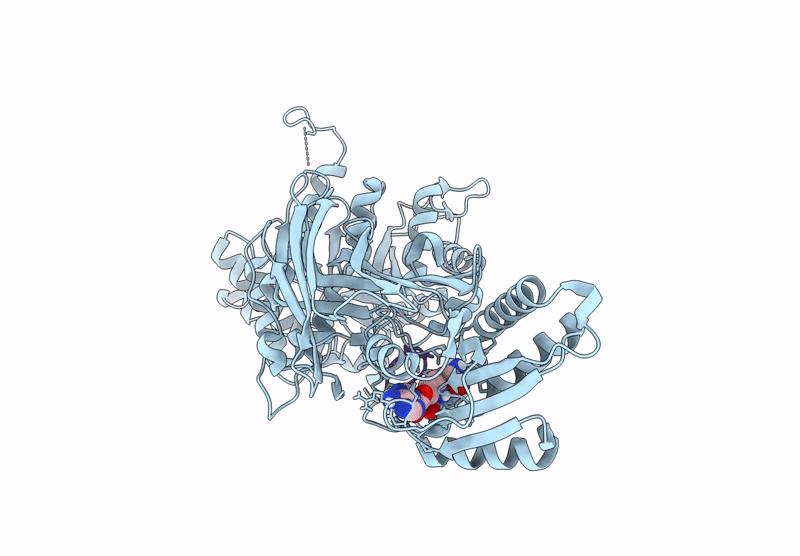 9E3C image