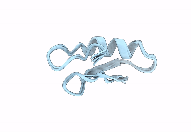 9E3Y image