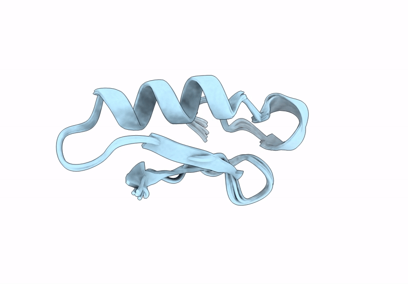 9E3Z image