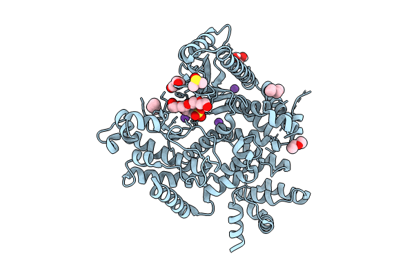 9E4V image
